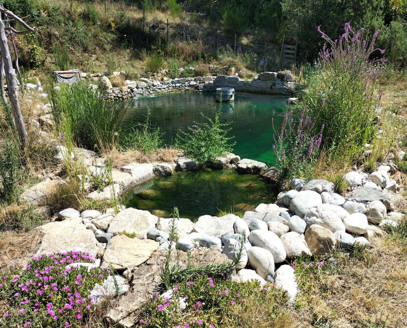Sauna et bains en pleine forêt aux Jardins de Maitreya