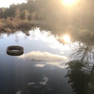 Piscine naturelle d'eau vivante au crépuscule - Les Jardins de Maitreya, Ardèche