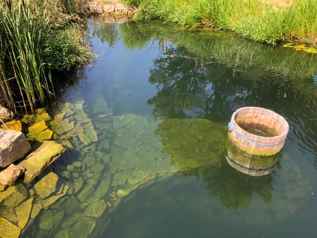Piscine naturelle, eau claire et végétation - Les Jardins de Maitreya