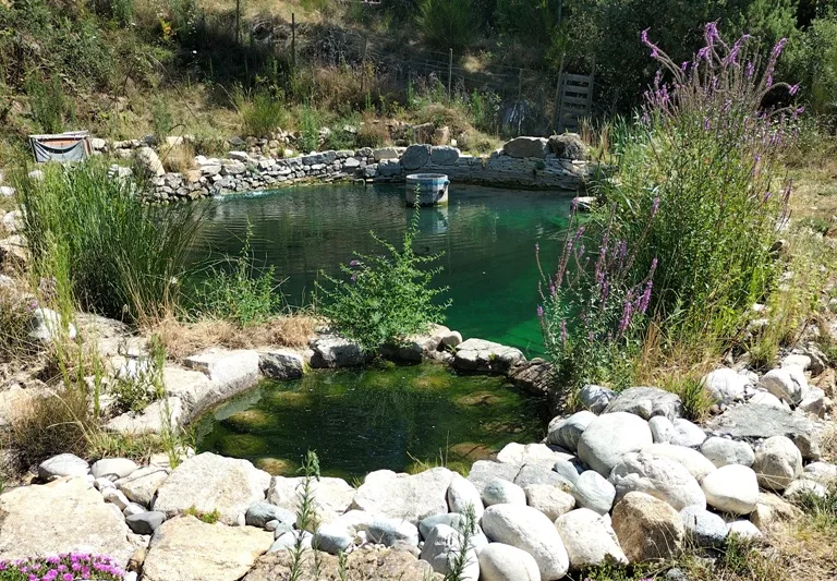 Piscine naturelle d'eau vivante - Les Jardins de Maitreya, Ardèche
